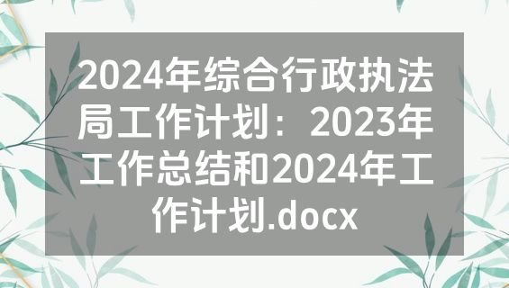 2024年综合行政执法局工作计划：2023年工作总结和2024年工作计划.docx