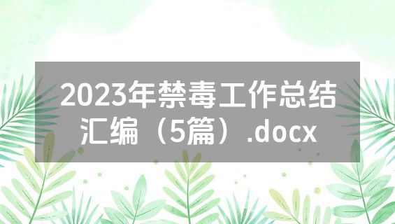 2023年禁毒工作总结汇编（5篇）.docx