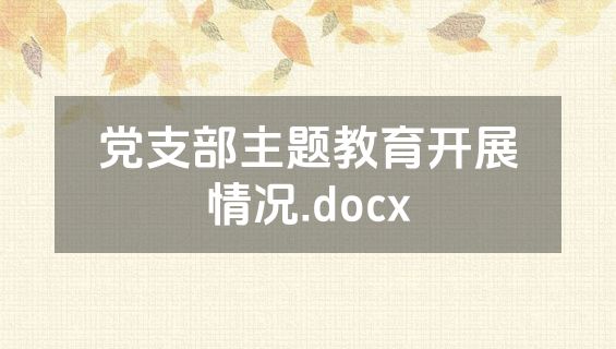 党支部主题教育开展情况.docx