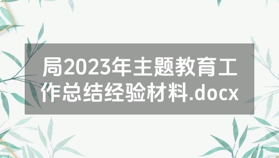 局2023年主题教育工作总结经验材料.docx