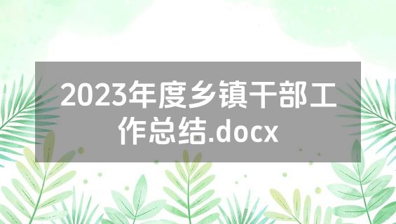 2023年度乡镇干部工作总结.docx