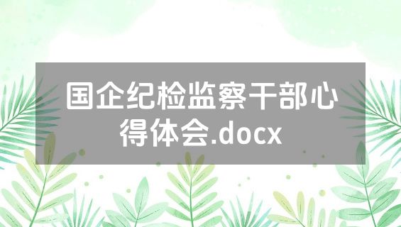 国企纪检监察干部心得体会.docx