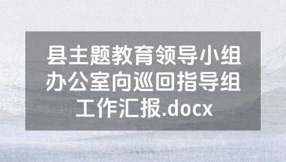 县主题教育领导小组办公室向巡回指导组工作汇报.docx