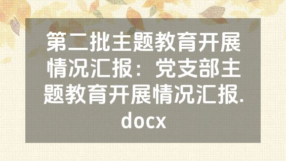 第二批主题教育开展情况汇报：党支部主题教育开展情况汇报.docx