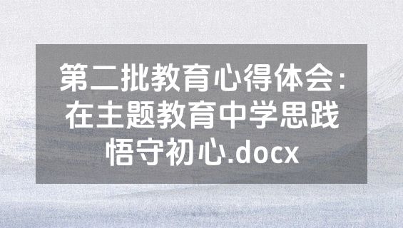 第二批教育心得体会：在主题教育中学思践悟守初心.docx