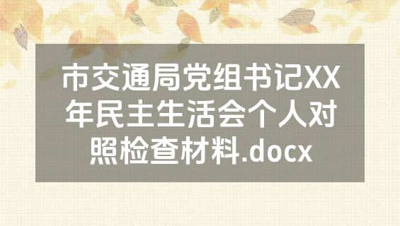 市交通局党组书记XX年民主生活会个人对照检查材料.docx