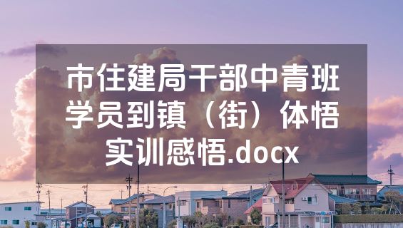 市住建局干部中青班学员到镇（街）体悟实训感悟.docx