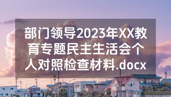 部门领导2023年XX教育专题民主生活会个人对照检查材料.docx