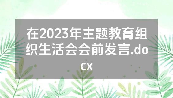 在2023年主题教育组织生活会会前发言.docx