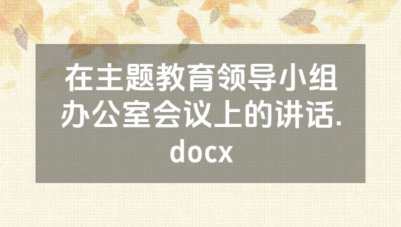 在主题教育领导小组办公室会议上的讲话.docx