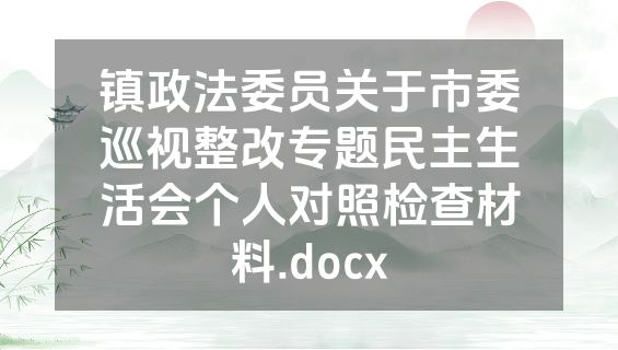 镇政法委员关于市委巡视整改专题民主生活会个人对照检查材料.docx