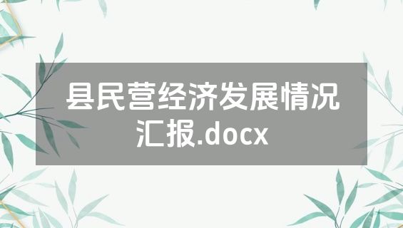 县民营经济发展情况汇报.docx