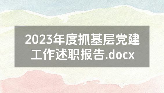 2023年度抓基层党建工作述职报告.docx