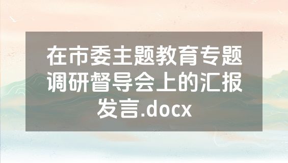 在市委主题教育专题调研督导会上的汇报发言.docx