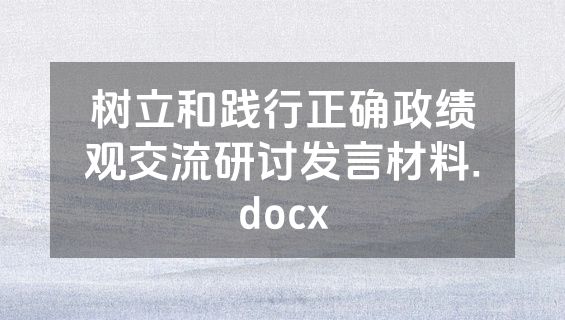 树立和践行正确政绩观交流研讨发言材料.docx