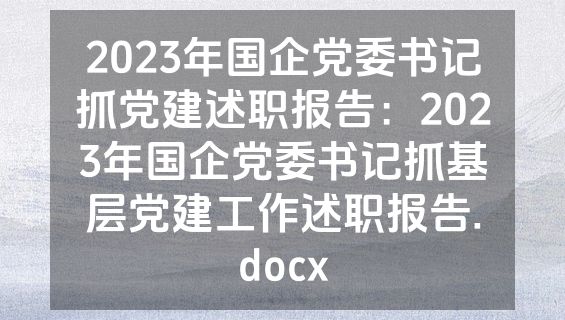 2023年国企党委书记抓党建述职报告：2023年国企党委书记抓基层党建工作述职报告.docx
