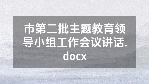 市第二批主题教育领导小组工作会议讲话.docx
