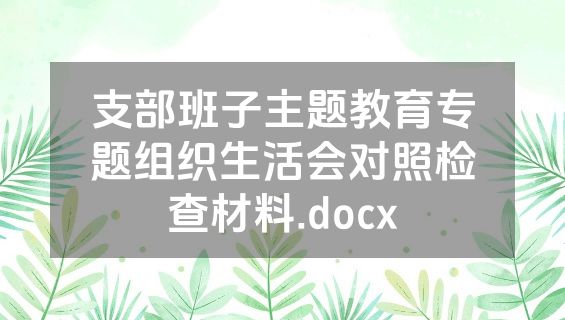 支部班子主题教育专题组织生活会对照检查材料.docx
