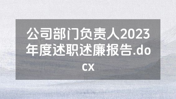 公司部门负责人2023年度述职述廉报告.docx