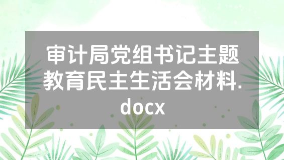 审计局党组书记主题教育民主生活会材料.docx