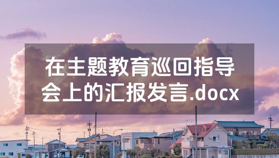 在主题教育巡回指导会上的汇报发言.docx