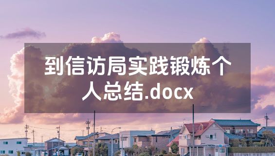 到信访局实践锻炼个人总结.docx