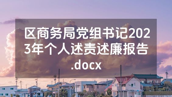 区商务局党组书记2023年个人述责述廉报告.docx