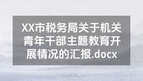 XX市税务局关于机关青年干部主题教育开展情况的汇报.docx