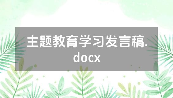 主题教育学习发言稿.docx