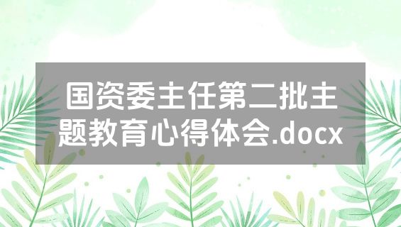 国资委主任第二批主题教育心得体会.docx