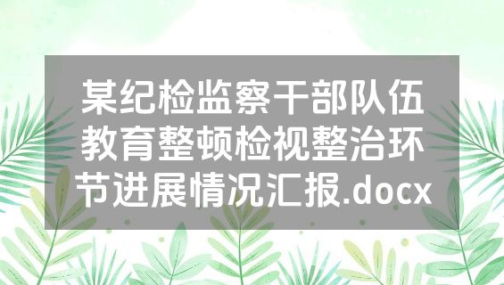 某纪检监察干部队伍教育整顿检视整治环节进展情况汇报.docx