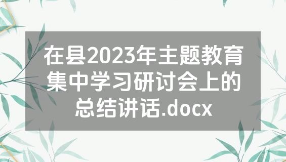 在县2023年主题教育集中学习研讨会上的总结讲话.docx