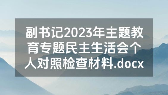 副书记2023年主题教育专题民主生活会个人对照检查材料.docx