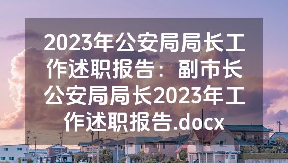 2023年公安局局长工作述职报告：副市长公安局局长2023年工作述职报告.docx