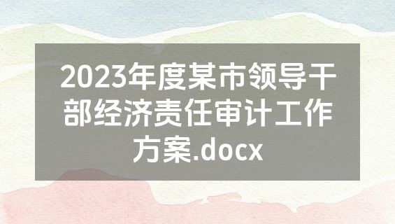 2023年度某市领导干部经济责任审计工作方案.docx