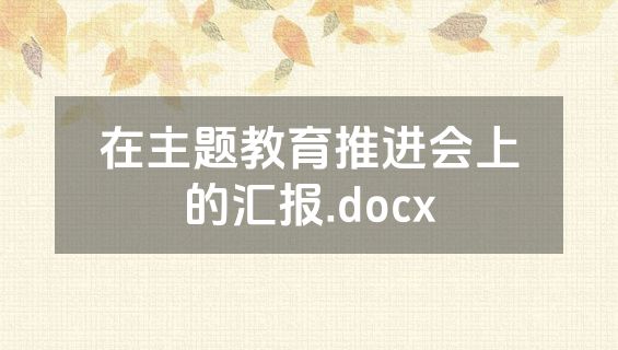 在主题教育推进会上的汇报.docx