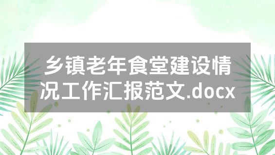 乡镇老年食堂建设情况工作汇报范文.docx