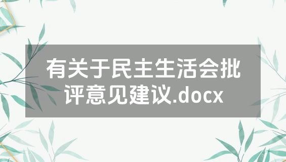 有关于民主生活会批评意见建议.docx
