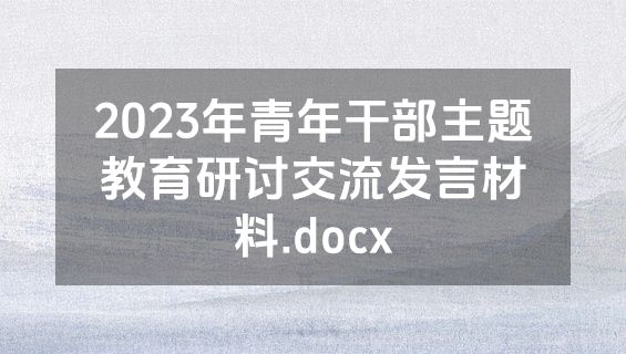 2023年青年干部主题教育研讨交流发言材料.docx