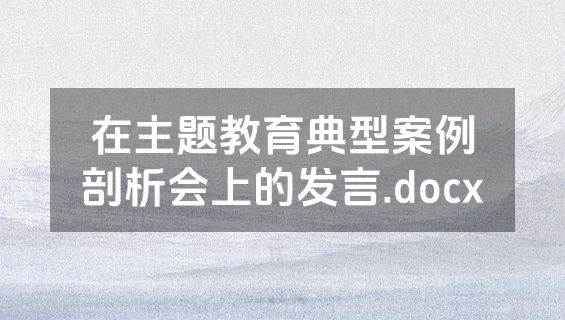 在主题教育典型案例剖析会上的发言.docx
