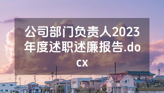公司部门负责人2023年度述职述廉报告.docx
