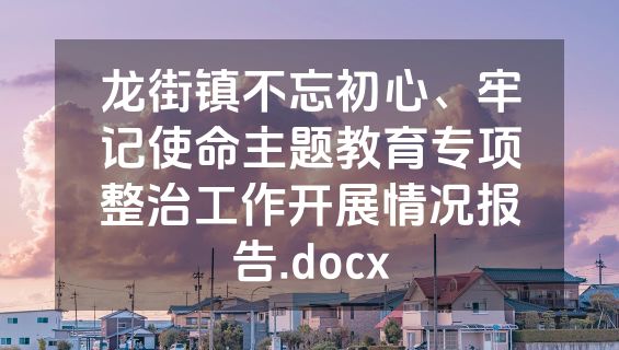 龙街镇不忘初心、牢记使命主题教育专项整治工作开展情况报告.docx