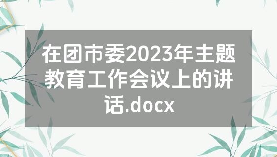 在团市委2023年主题教育工作会议上的讲话.docx