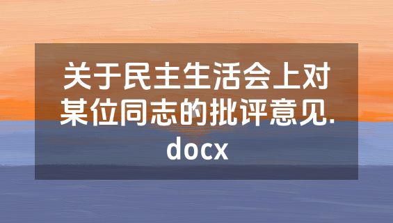 关于民主生活会上对某位同志的批评意见.docx