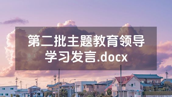 第二批主题教育领导学习发言.docx