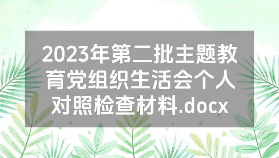 2023年第二批主题教育党组织生活会个人对照检查材料.docx