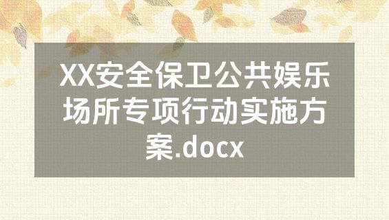 XX安全保卫公共娱乐场所专项行动实施方案.docx