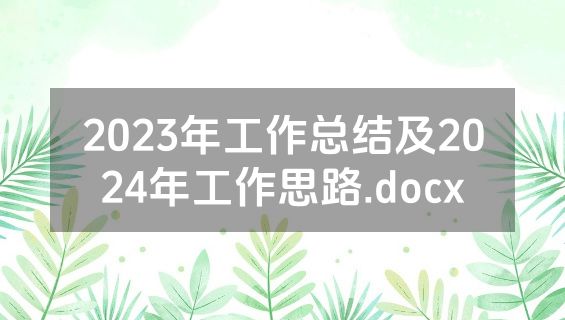 2023年工作总结及2024年工作思路.docx