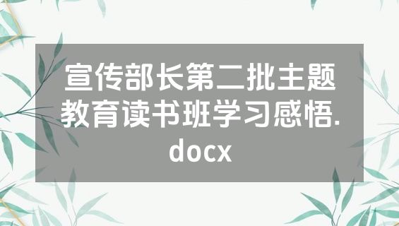 宣传部长第二批主题教育读书班学习感悟.docx