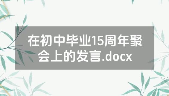 在初中毕业15周年聚会上的发言.docx